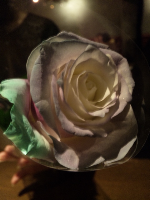 100427_185136